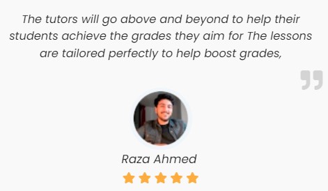 review-raza-ahmed-2.jpg